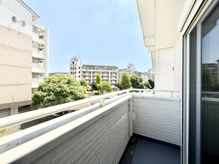 oRj[  𒭂߂ȂAقƈꑧʂȋ