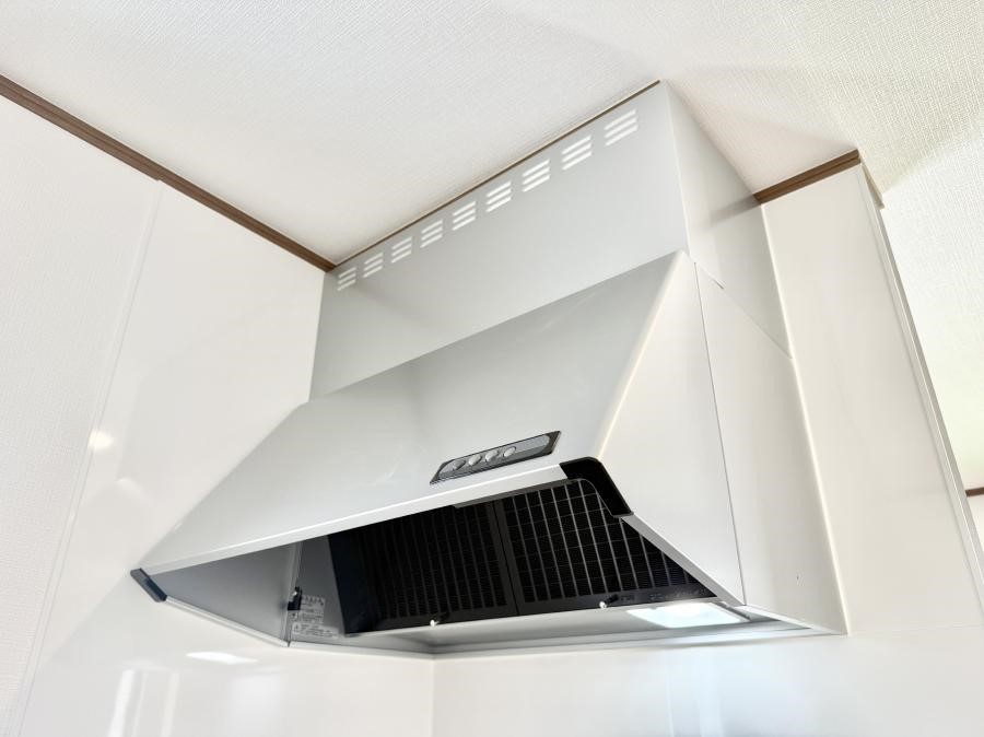 ̑ ݔ̏CCɗUAIɔrł܂B