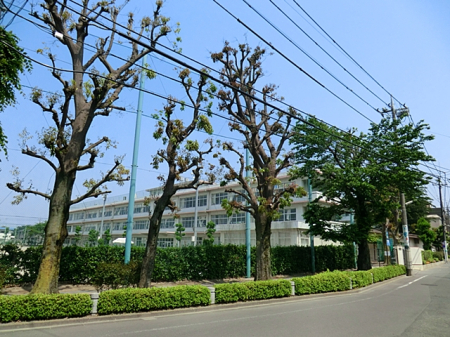 周辺環境 その他環境写真 600m 立川市立第一中学校