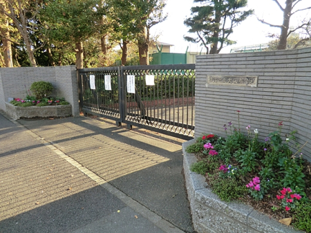 周辺環境 小学校 300m 横浜市立大正小学校
