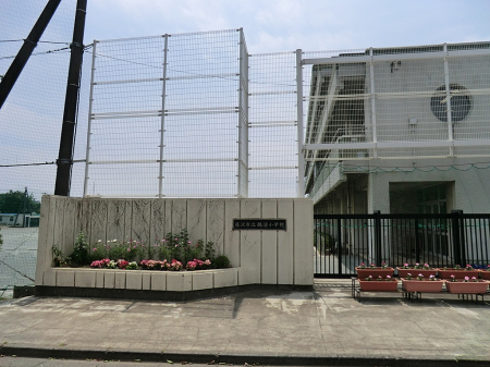 周辺環境 小学校 1100m 藤沢市立鵠沼小学校