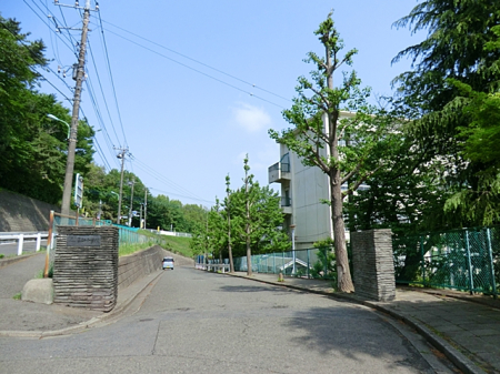 周辺環境 中学校 1400m 町田市立薬師中学校
