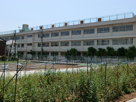 周辺環境 小学校 350m 府中市立府中第八小学校