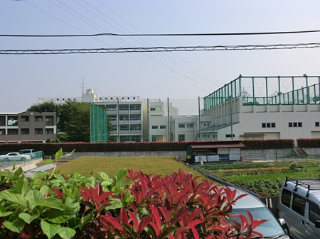 周辺環境 中学校 700m 府中市立府中第九中学校