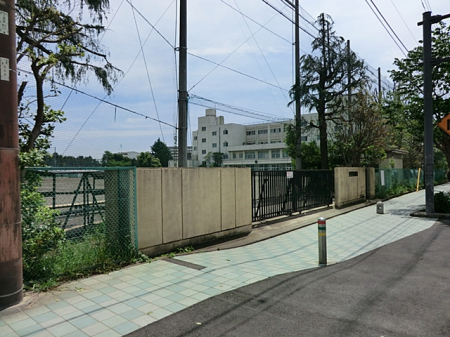 周辺環境 中学校 700m 大和市立引地台中学校