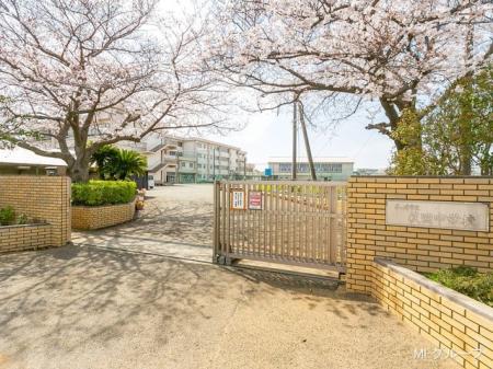周辺環境 中学校 800m 茅ヶ崎市立萩園中学校