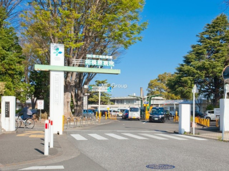 周辺環境 病院 750m 国立病院機構相模原病院 
