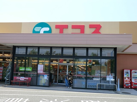周辺環境 スーパー 500m TAIRAYA 元八王子店