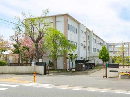 周辺環境 中学校 800m 茅ヶ崎市立中島中学校