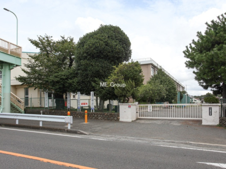 周辺環境 スーパー 700m 食品館あおば さがみ野店