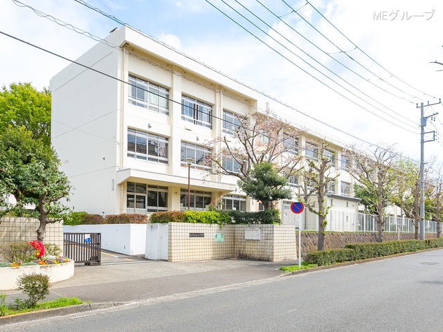 ӊ wZ 800m s̑򒆊wZ