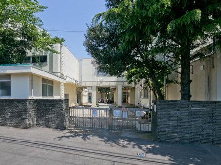 周辺環境 小学校 800m 横浜市立常盤台小学校