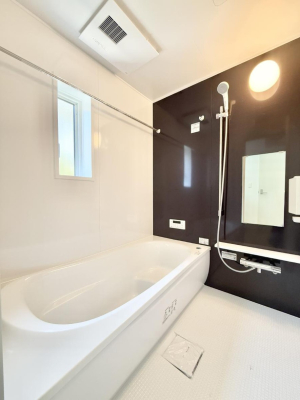 ���� �����������������F�����̕ǖʁA������芰����o�X���[��