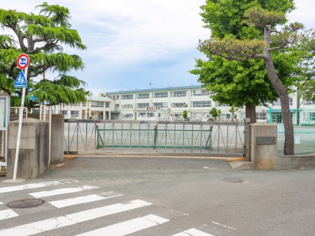 周辺環境 小学校 720m 茅ヶ崎市立松林小学校