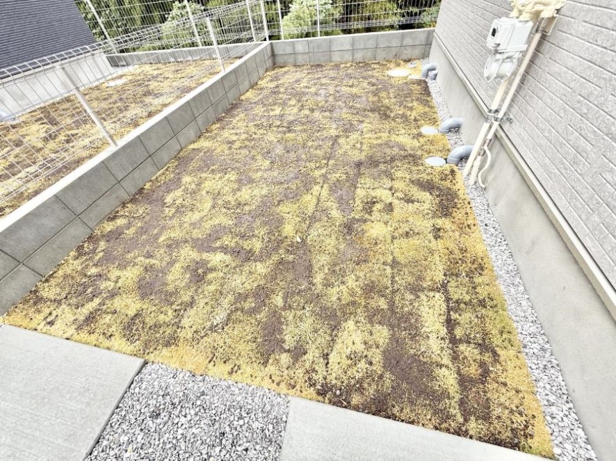 ̑ OρX̕炵ɂ₳YA΂̂鋤pXy[X