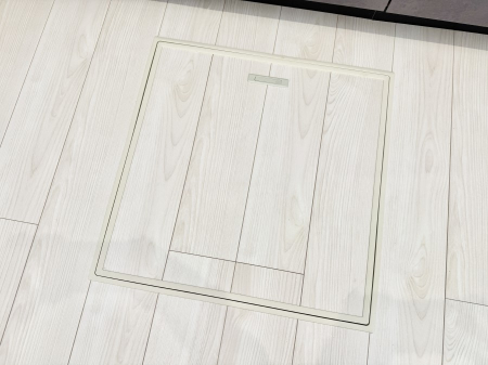 ̑ ݔBꂽ[Xy[XŉƑŜXbL