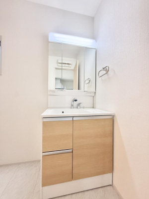 ���ʑ�E���ʏ� ���������̏������X���[�Y�ɂł���L���ł�