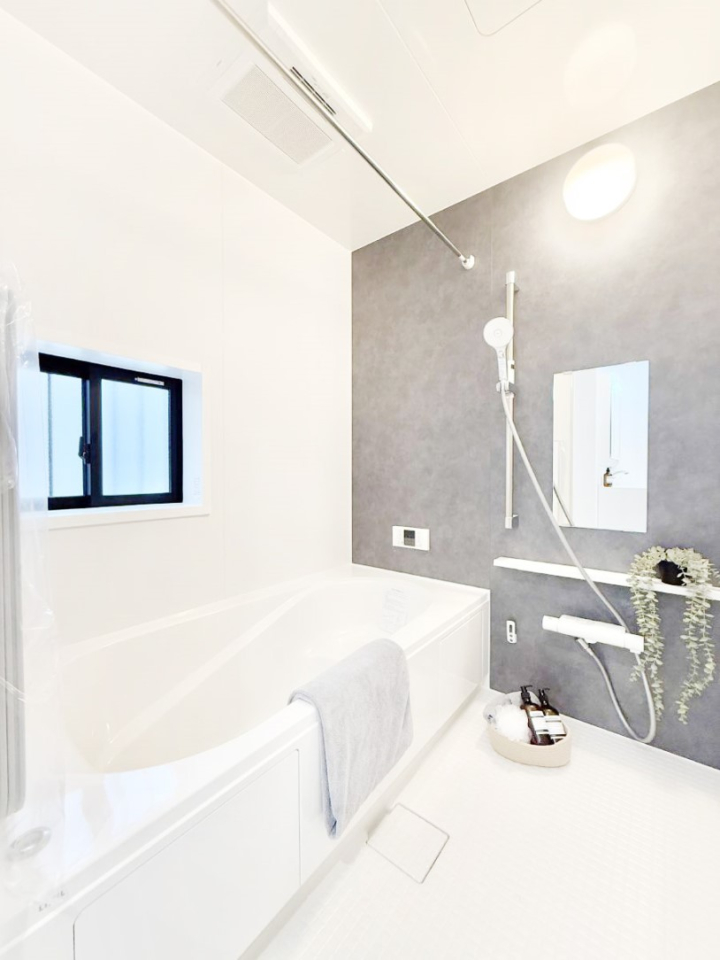 ���� �����������������F�����̕ǖʁA������芰����o�X���[��