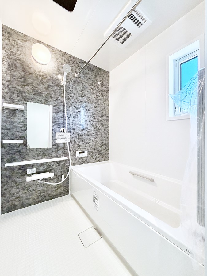 ���� �����������������F�����̕ǖʁA������芰����o�X���[��