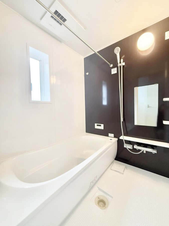 ���� �����������������F�����̕ǖʁA������芰����o�X���[��