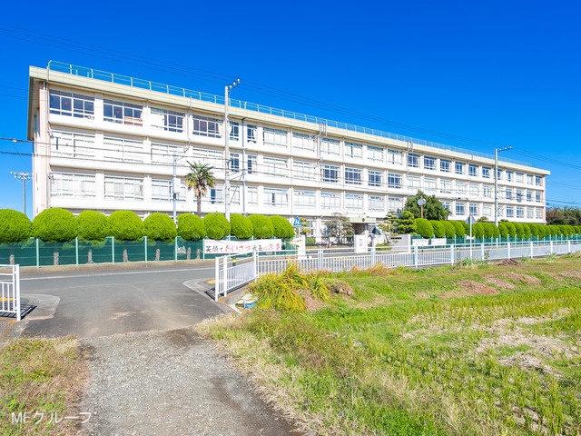 ӊ wZ 1500m ˎsZwZ