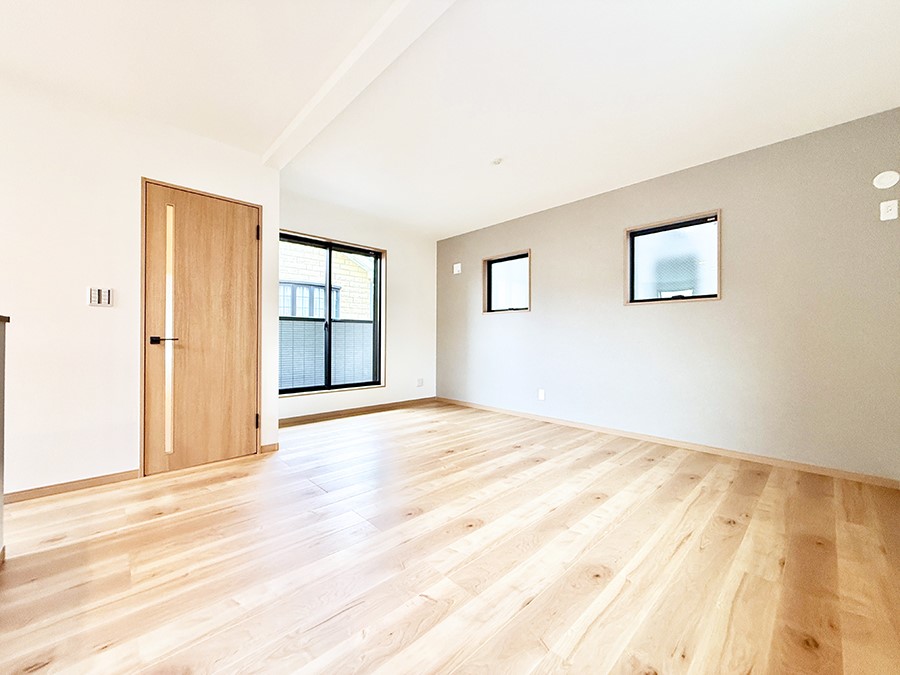 ���̑����� �������������������A���S�n�̂������r���O