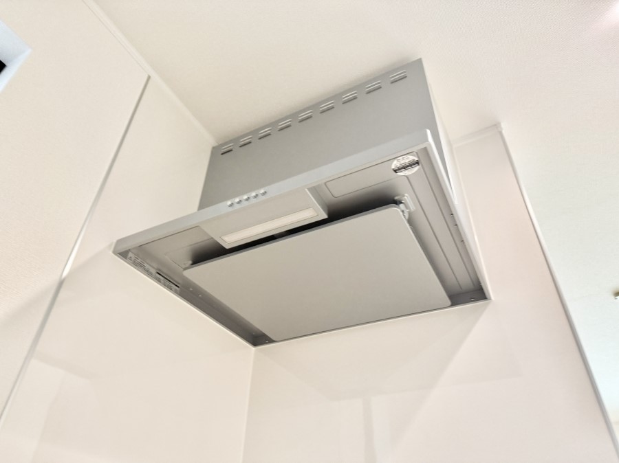 ̑ ݔt[hɕĂׁACɗUAIɔrł܂