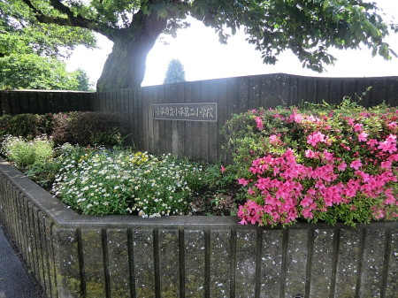 ӊ ̑ʐ^ 640m 񏬊wZ