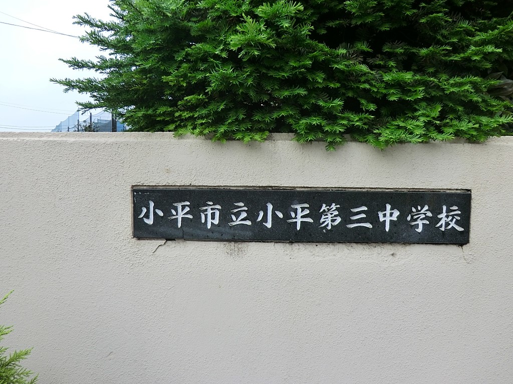 ӊ ̑ʐ^ 800m OwZ