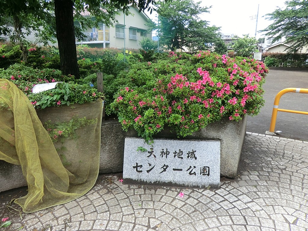 ӊ ̑ʐ^ 200m V_nZ^[