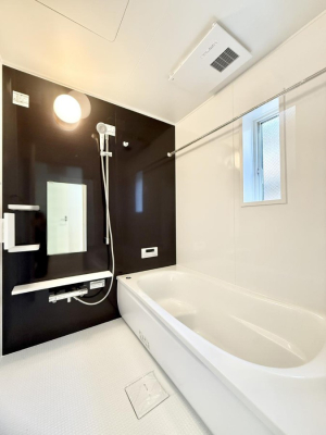 ���� �����������������F�����̕ǖʁA������芰����o�X���[��