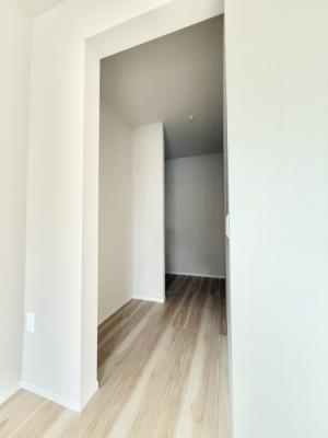 ���̑� �������v���X���̎��[�X�y�[�X  