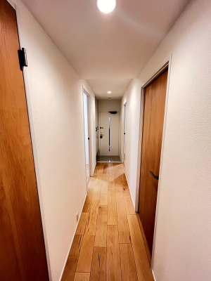 ���̑� ����