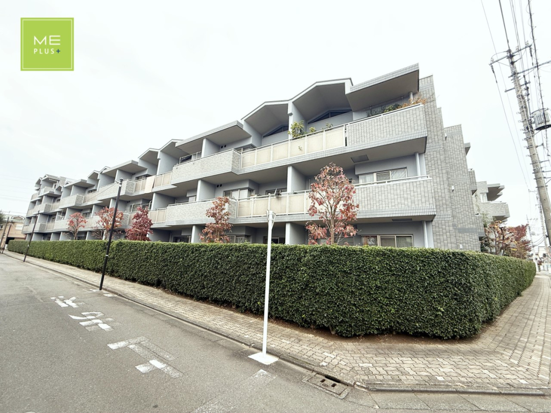 ���n�O�ώʐ^ �O��