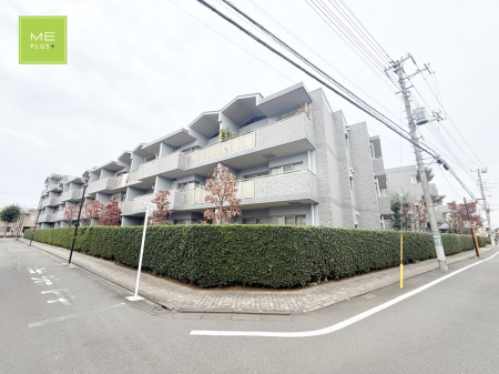 ���n�O�ώʐ^ �O��