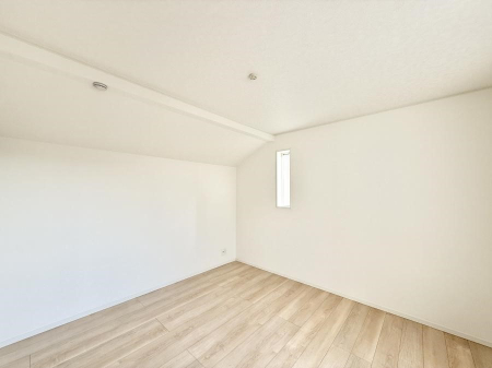 ���̑����� ����