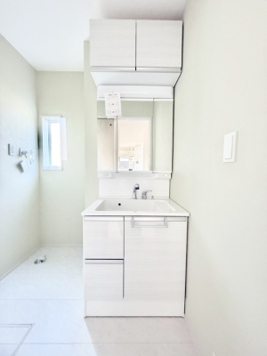 ���ʑ�E���ʏ� ���������̏������X���[�Y�ɂł���L���ł�