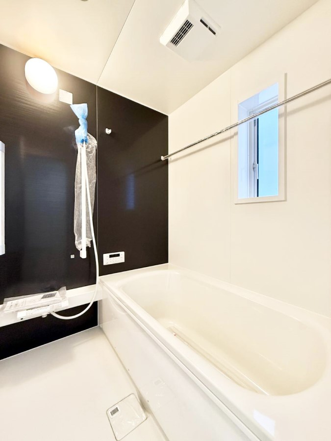 ���� �����������������F�����̕ǖʁA������芰����o�X���[��