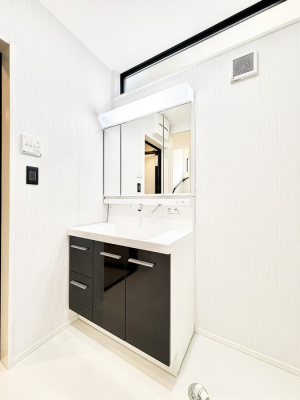 ���ʑ�E���ʏ� ���������̏������X���[�Y�ɂł���L���ł�