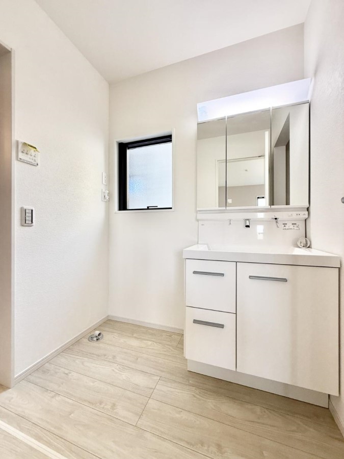 ���ʑ�E���ʏ� ���������̏������X���[�Y�ɂł���L���ł�