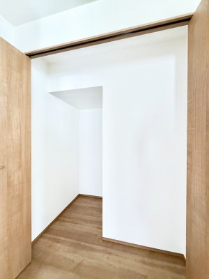 ���̑� �������v���X���̎��[�X�y�[�X  