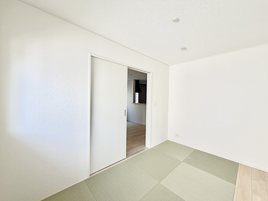 ���̑����� ����