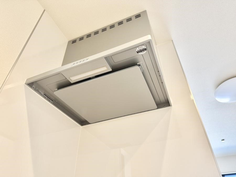 ̑ ݔ̏CCɗUAIɔrł܂B