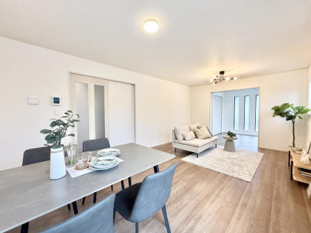 rO VvґA؂ȐlƉ߂Sقǂ