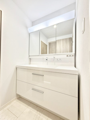 ���ʑ�E���ʏ� ���������̏������X���[�Y�ɂł���L���ł�