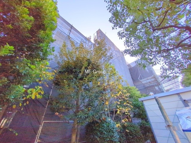 ���n�O�ώʐ^ �O�ρ��܂��͈�x������������