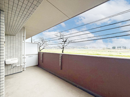 �o���R�j�[ ������ ���̃R�[�q�[���̐�����y���ށA�����̏ꏊ