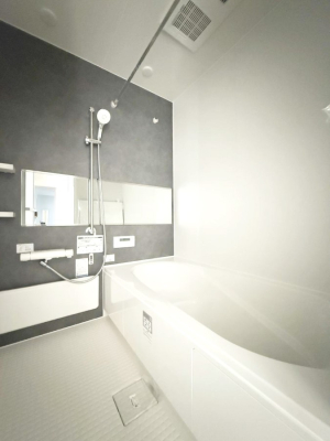 ���� �����������������F�����̕ǖʁA������芰����o�X���[��