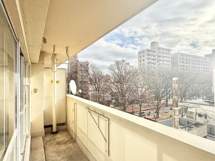 �o���R�j�[ ������ �G�߂̈ڂ낢����������J���I�ȋ�Ԃł�