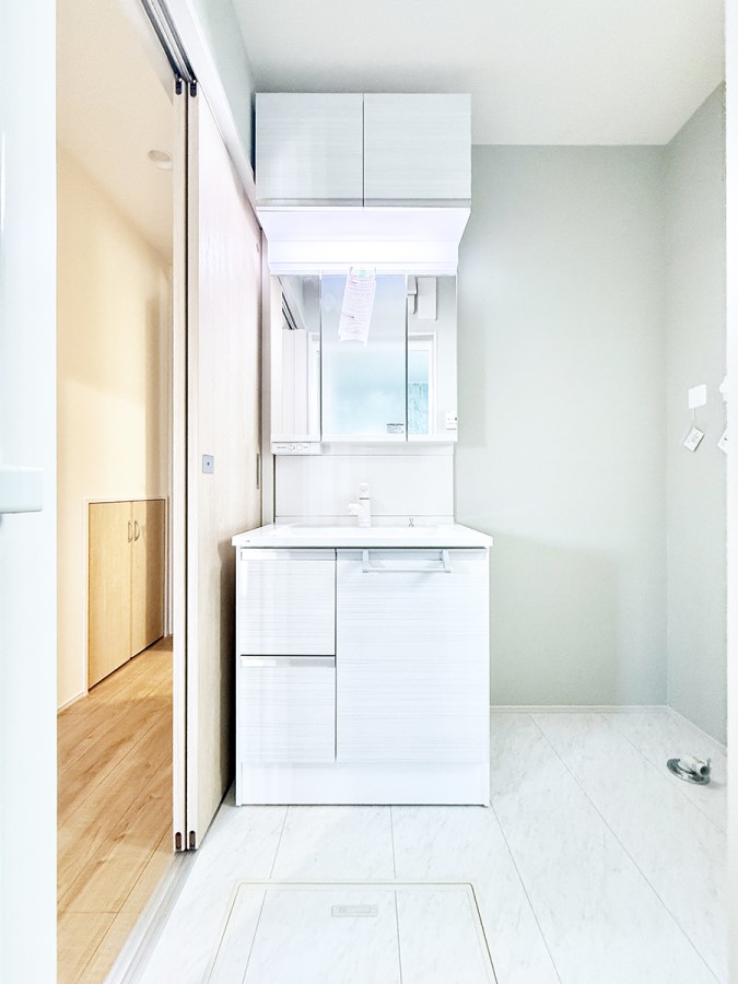 ���ʑ�E���ʏ� �������������Ő������̂�����ʏ�